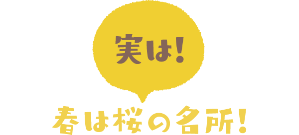 春は桜の名所！