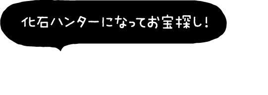 化石発掘体験