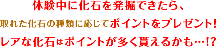 化石を発掘できた人は受付に持っていこう！取れた化石の種類に応じてポイントがもらえるよ！さらに、恐竜カードをもう1枚プレゼントするよ！