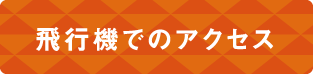 飛行機でのアクセス